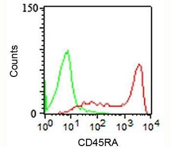 Anti-CD45RA Antibody