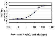 Anti-C9orf86 Antibody
