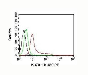Anti-Ku70 + Ku80 Antibody