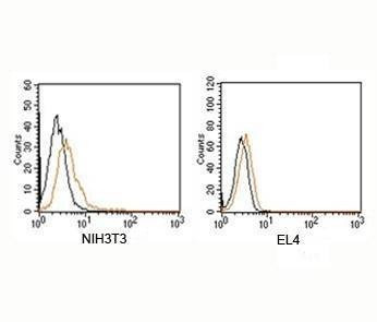 Rabbit IgG Isotype Control Polyclonal Antibody [PE Conjugated]