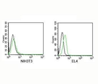 Rabbit IgG Isotype Control Polyclonal Antibody [FITC Conjugated]
