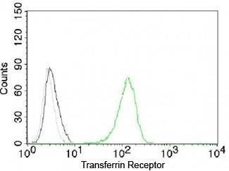Anti-Transferrin Receptor Antibody