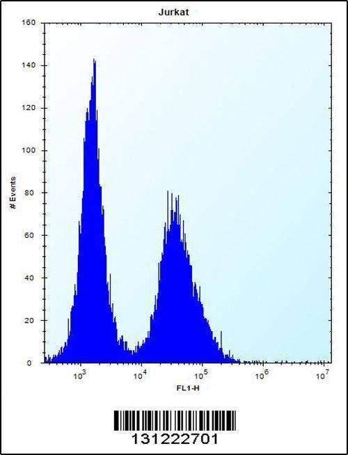 Anti-NBPF5 (C-term) Antibody