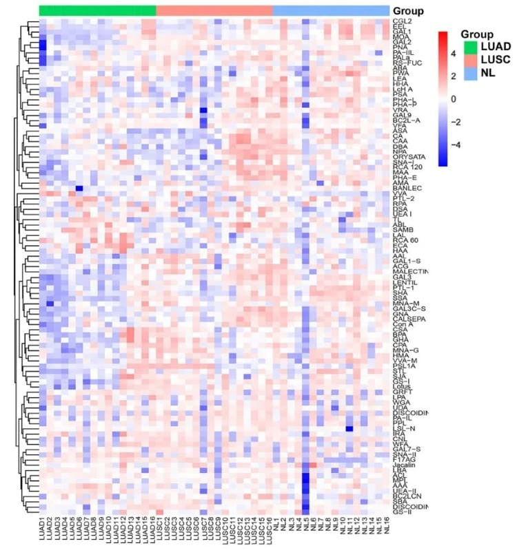 Figure adapted from Li et al., Frontiers in Oncology, 2023.