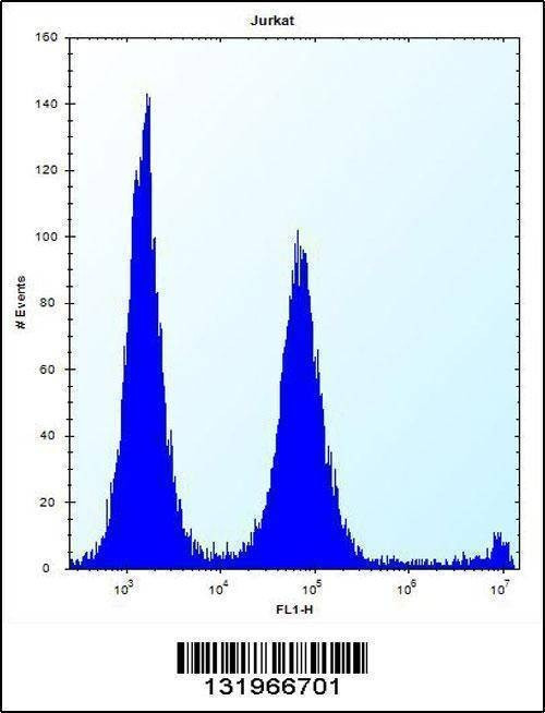Anti-POLR2G (C-term) Antibody
