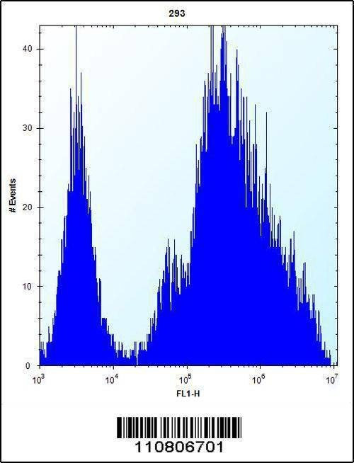 Anti-MINA (N-term) Antibody