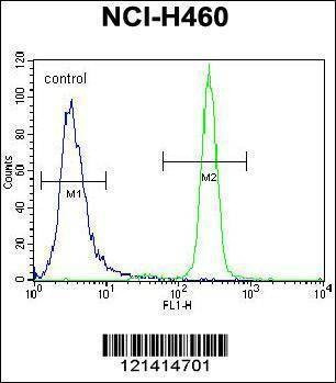Anti-IL6 (Center) Antibody
