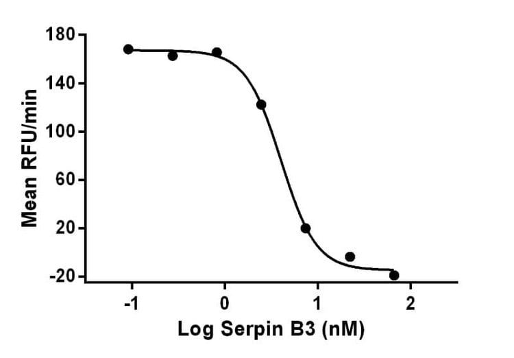 Recombinant Human Serpin B3 (SCCA1) Protein