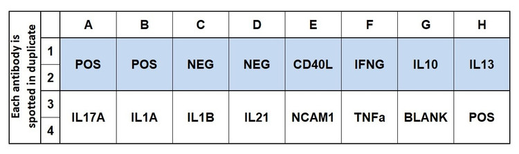 Bovine T Cell Response Array C1