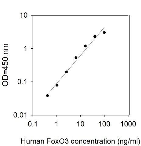 Human FoxO3/FKHRL1 ELISA Kit