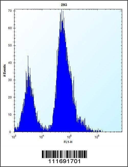 Anti-EIF4EBP1 (Center) Antibody