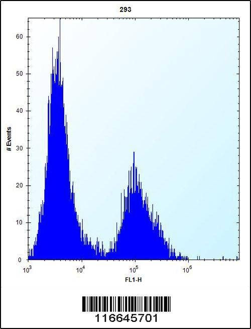 Anti-CLDN2 (C-term Y195) Antibody