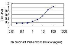 Anti-CAPG Antibody