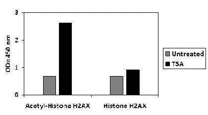 Acetylated-Histone H2AX and Histone H2AX ELISA Kit