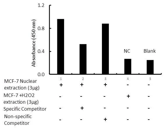 Human ER-alpha Activity Assay Kit