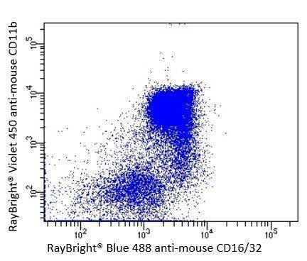 Anti-Mouse FcgRII (CD32) Antibody,  RayBright® Blue 488