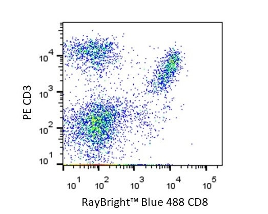 Anti-Mouse CD8a Antibody, RayBright® Blue 488