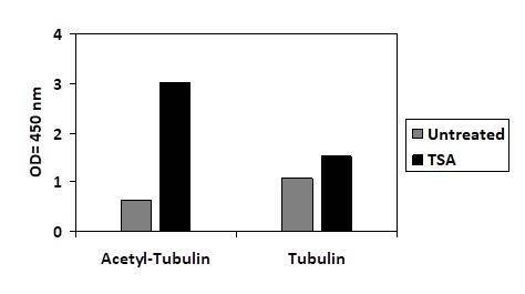 Acetylated-Alpha Tubulin and Alpha Tubulin ELISA Kit