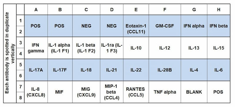 Porcine Inflammation Array C1 Map