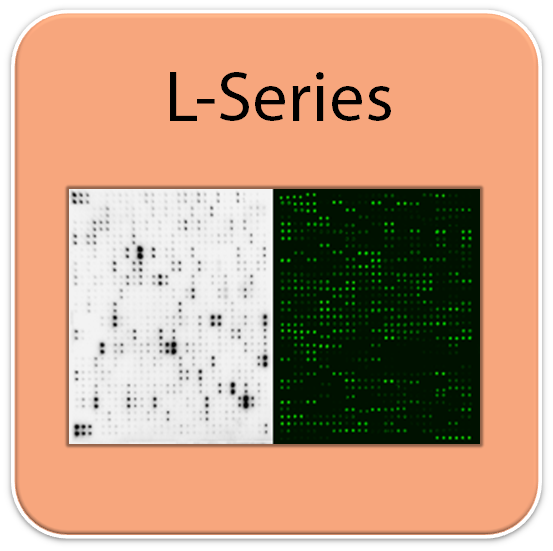 Human Proteome Profiling Array L3 (500-Plex, Glass Slide)