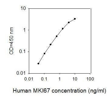 Human Ki-67/MKI67 ELISA Kit