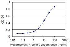 Anti-CAPS2 Antibody