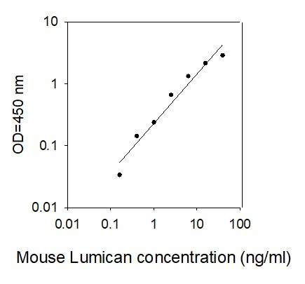 Mouse Lumican ELISA kit Standard Curve