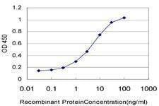 Anti-CARD14 Antibody