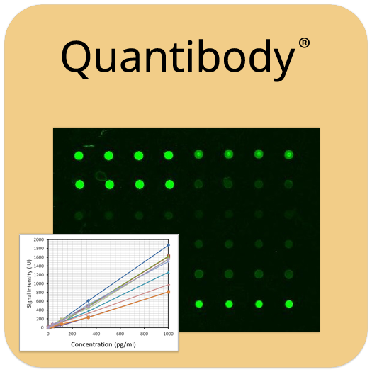 Mouse Cytokine Array Q9