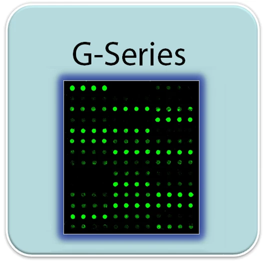 Rabbit Cytokine Array GS30