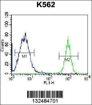 Anti-PTMS (C-term) Antibody