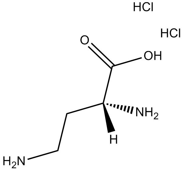 H-D-Dab-OH.2HCl