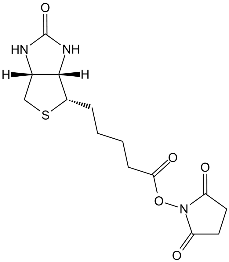 NHS-Biotin