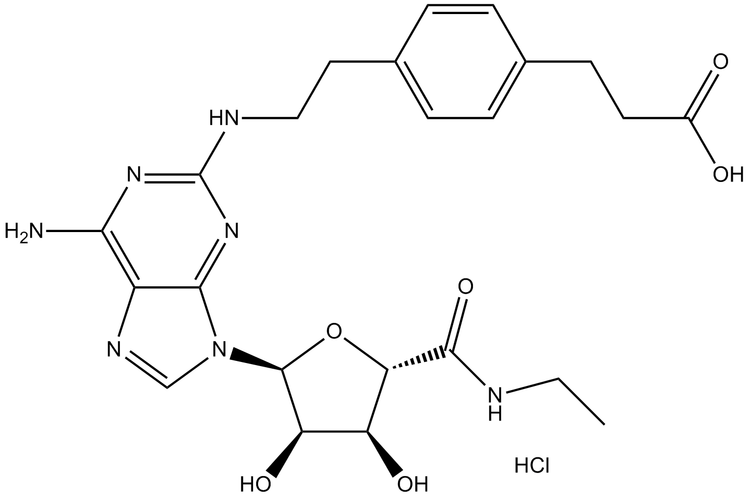 CGS 21680 HCl