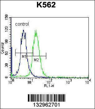 Anti-FSHB/FSH (Center) Antibody
