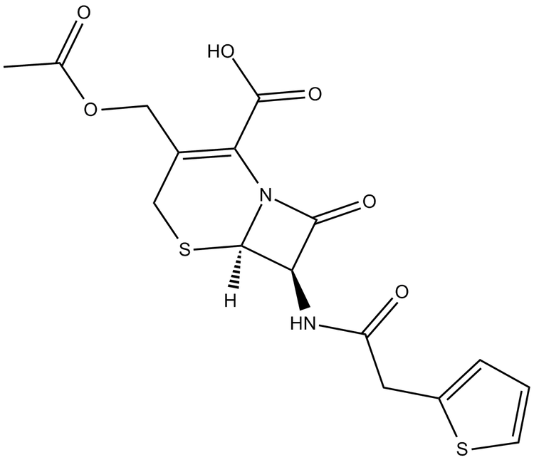 Cephalothin