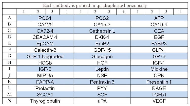 Human Cancer Discovery Array Q2