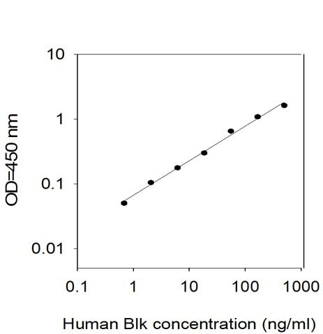 Human Blk ELISA Kit