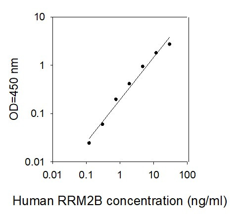 Human RRM2B ELISA kit Standard Curve