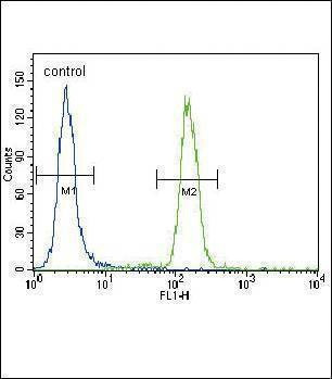 Anti-Puma BH3 Domain Antibody