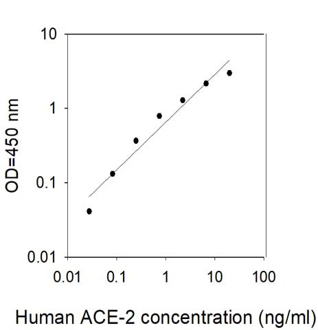 This protein is used as the standard in the ELISA kit (catalog number: ELH-ACE2).