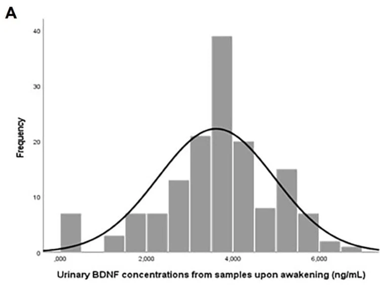 Figure adapted from Olivas-Martinez et al., Frontiers in Molecular Neuroscience, 2023.