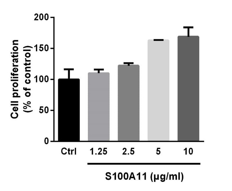 Recombinant Human S100-A11 Protein