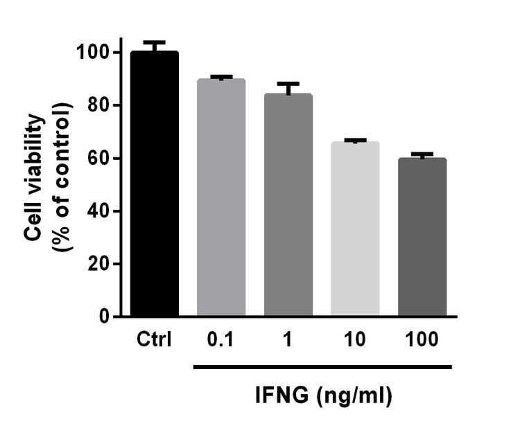 Recombinant Human IFNG Protein