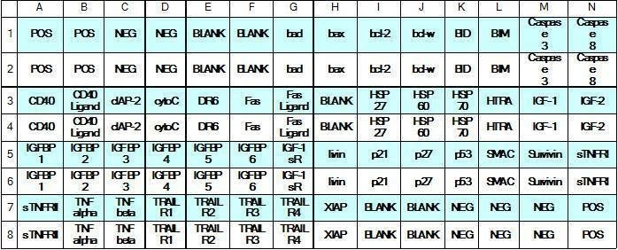 Human Apoptosis Array C1