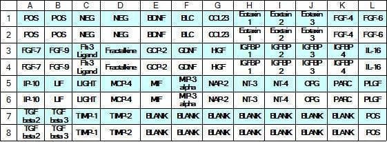 Human Cytokine Array C4