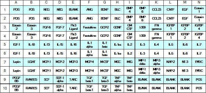 Human Cytokine Array C6