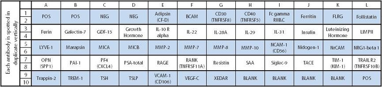 Human Cytokine Array C9