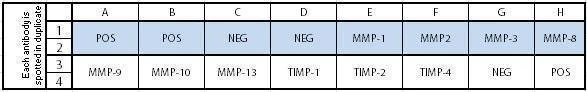 Human MMP Array C1