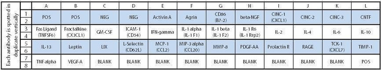 Rat Cytokine Array C2